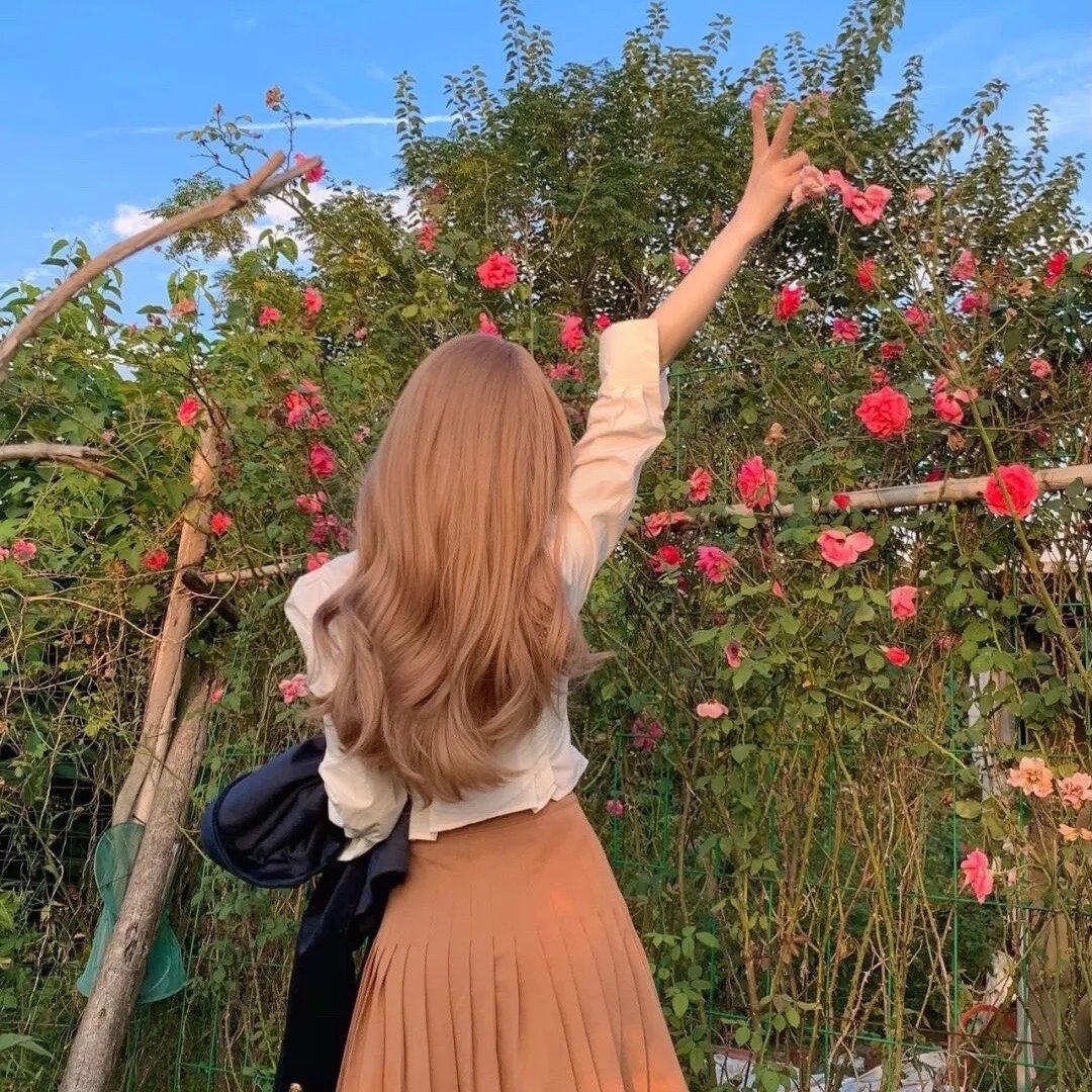 高速婆婆封面